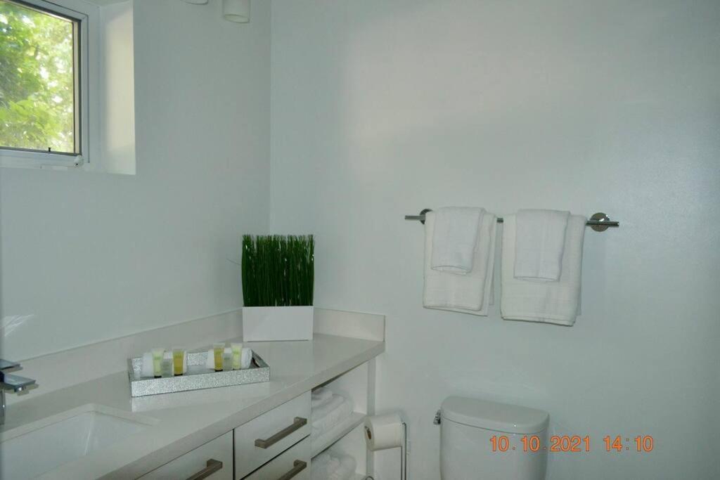 Across The Ocean Few Steps To Beach Contemporary Three Bedroom Townhouse Pompano Beach Buitenkant foto